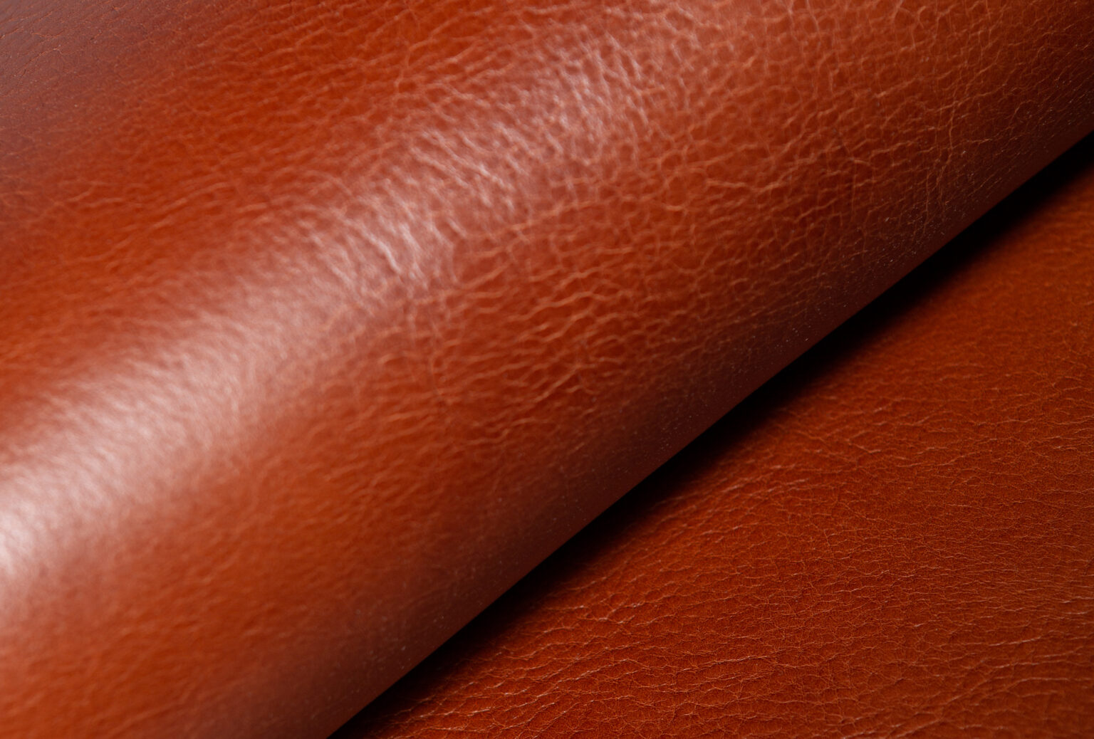 Are animals killed for leather? Splenda Quality Leather