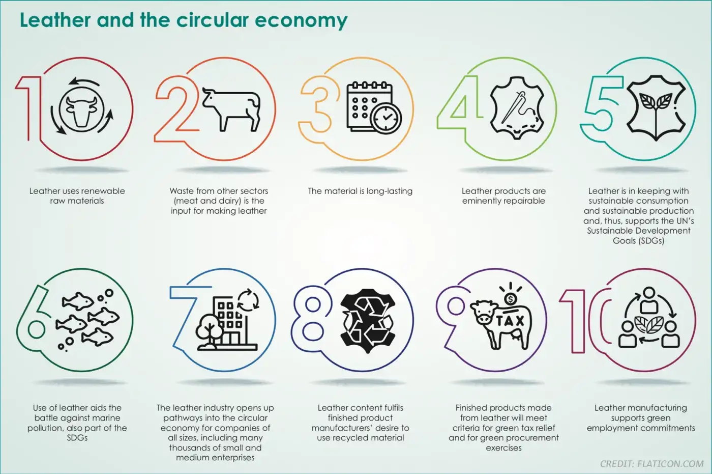 An introduction to Leather and the Circular Economy 7