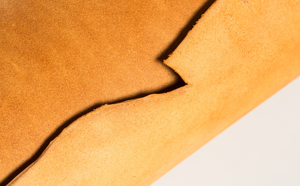 Biodegradability of leather: another reason to embrace it 11