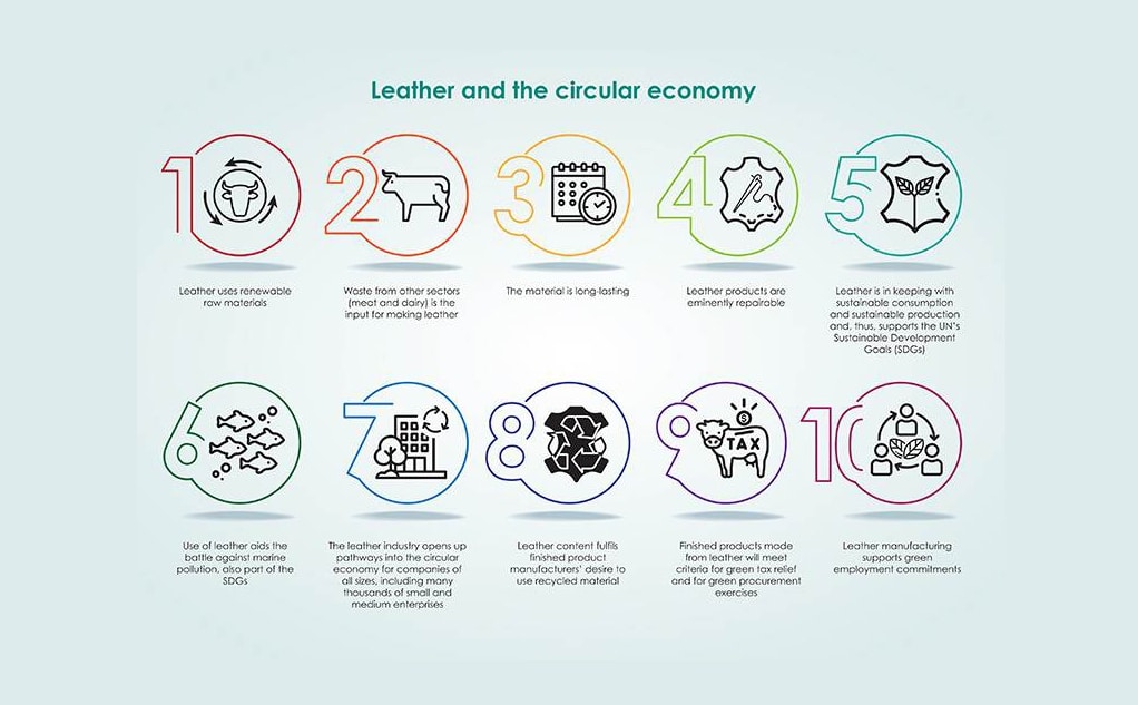Leather, a key player in the European bioeconomy 8 Leather, a key player in the European bioeconomy 7